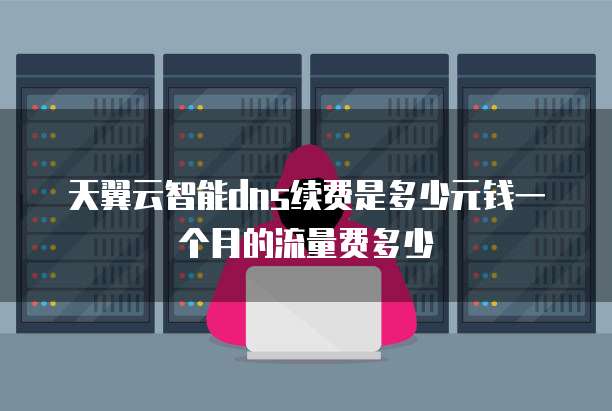 天翼云智能dns续费是多少元钱一个月的流量费多少