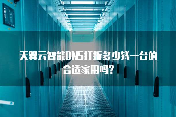 天翼云智能DNS打折多少钱一台的合适家用吗?