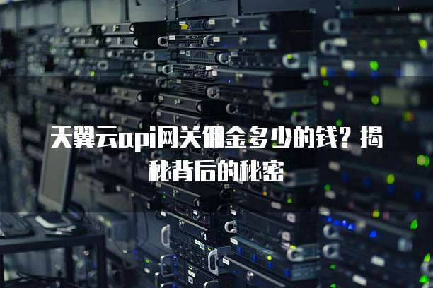 天翼云api网关佣金多少的钱？揭秘背后的秘密