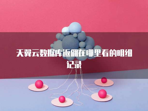 天翼云数据库返佣在哪里看的明细记录