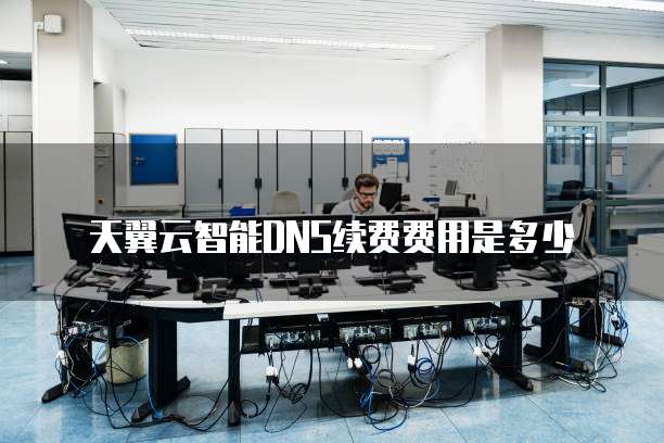 天翼云智能DNS续费费用是多少