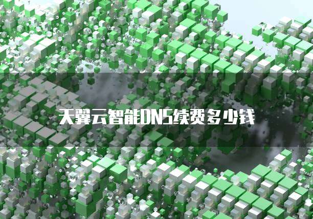 天翼云智能DNS续费多少钱