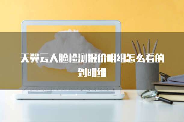 天翼云人脸检测报价明细怎么看的到明细