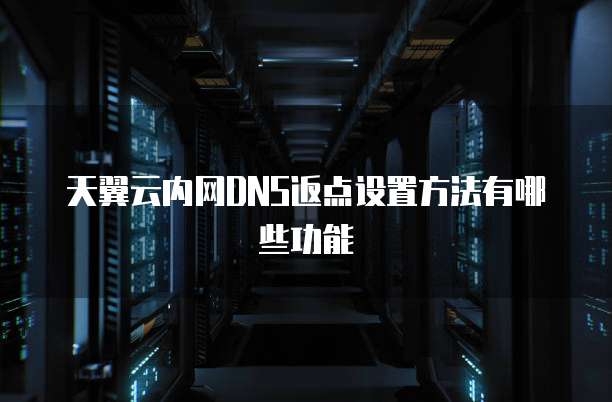 天翼云内网DNS返点设置方法有哪些功能