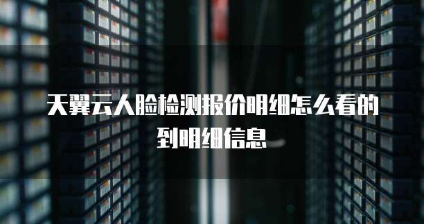 天翼云人脸检测报价明细怎么看的到明细信息