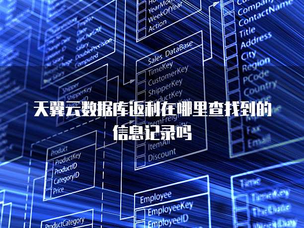 天翼云数据库返利在哪里查找到的信息记录吗