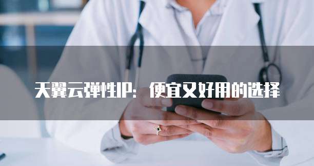 天翼云弹性IP:便宜又好用的选择