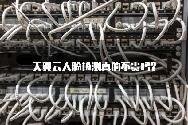 天翼云人脸检测真的不贵吗?