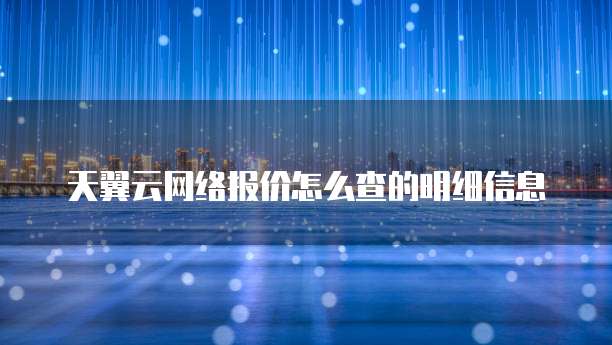 天翼云网络报价怎么查的明细信息