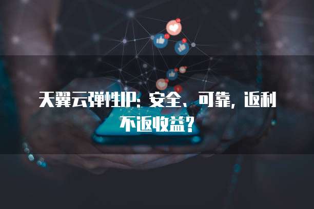 天翼云弹性IP: 安全、可靠, 返利不返收益?
