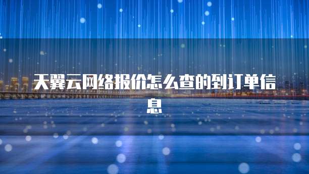 天翼云网络报价怎么查的到订单信息