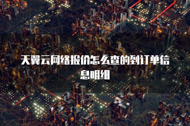 天翼云网络报价怎么查的到订单信息明细
