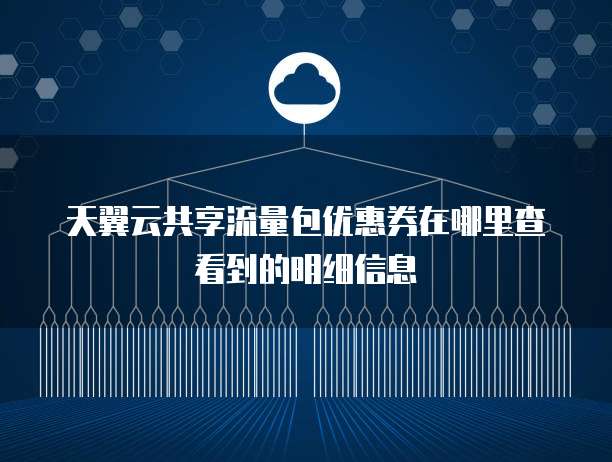 天翼云共享流量包优惠券在哪里查看到的明细信息