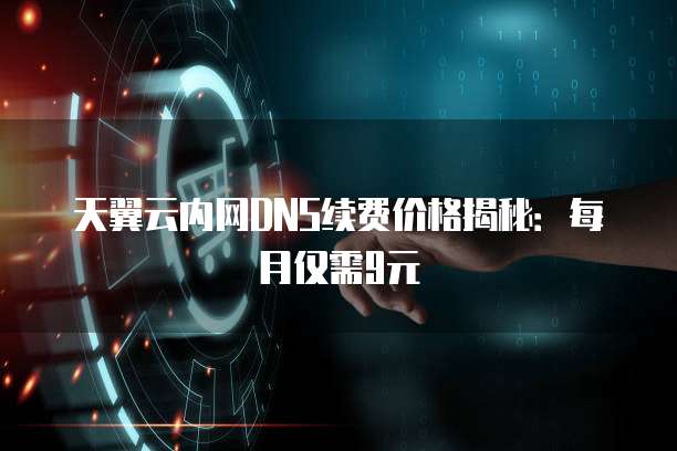 天翼云内网DNS续费价格揭秘:每月仅需9元