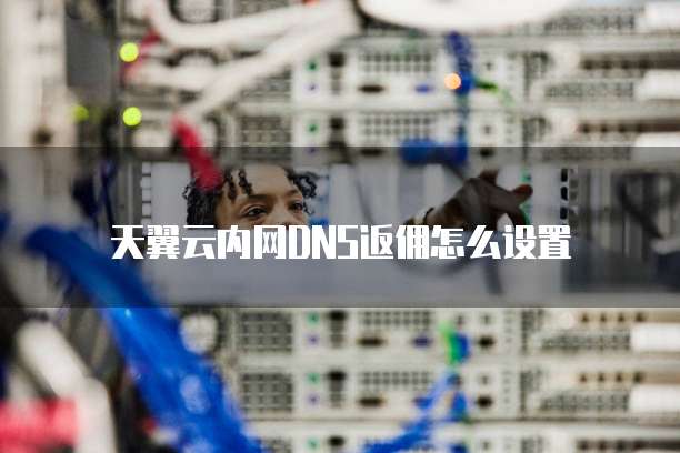 天翼云内网DNS返佣怎么设置