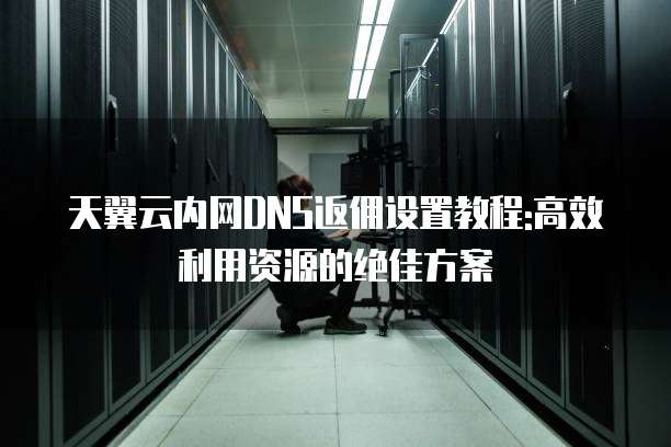 天翼云内网DNS返佣设置教程:高效利用资源的绝佳方案