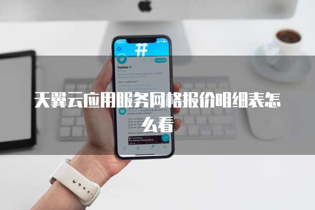 天翼云应用服务网格报价明细表怎么看