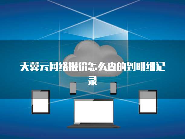 天翼云网络报价怎么查的到明细记录