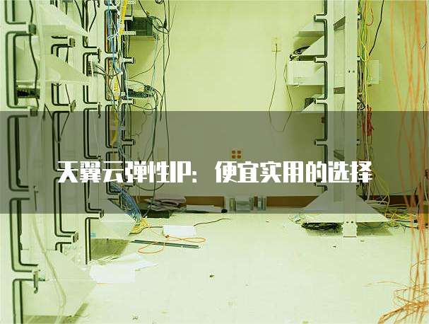 天翼云弹性IP:便宜实用的选择