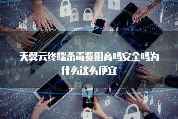 天翼云终端杀毒费用高吗安全吗为什么这么便宜