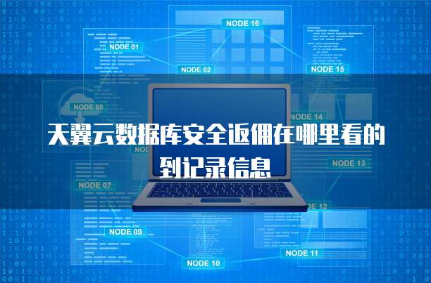 天翼云数据库安全返佣在哪里看的到记录信息