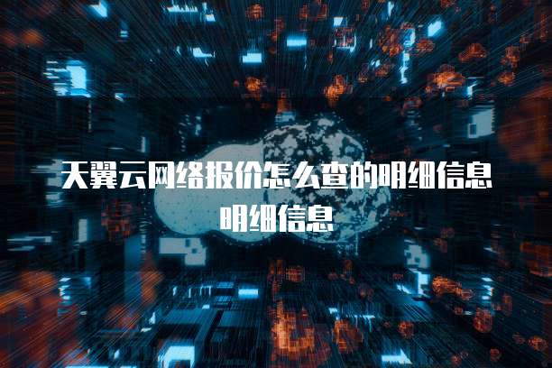 天翼云网络报价怎么查的明细信息明细信息