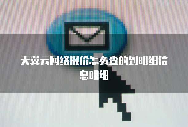 天翼云网络报价怎么查的到明细信息明细