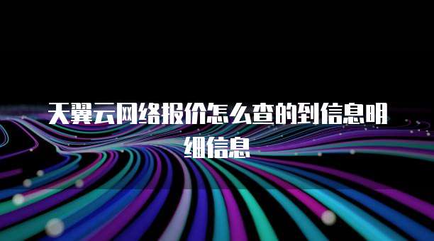 天翼云网络报价怎么查的到信息明细信息