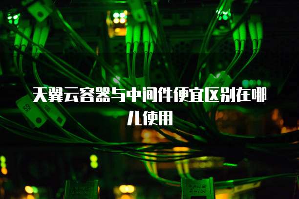 天翼云容器与中间件便宜区别在哪儿使用