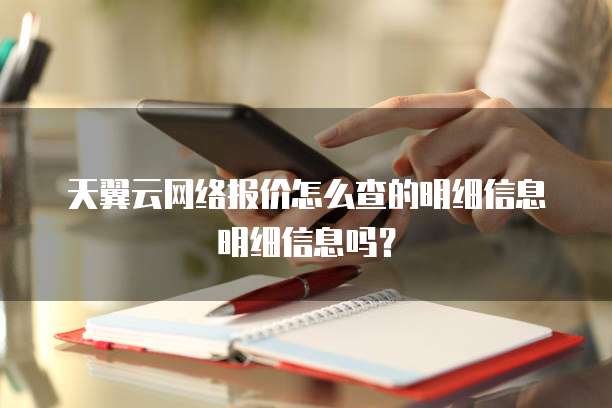 天翼云网络报价怎么查的明细信息明细信息吗?