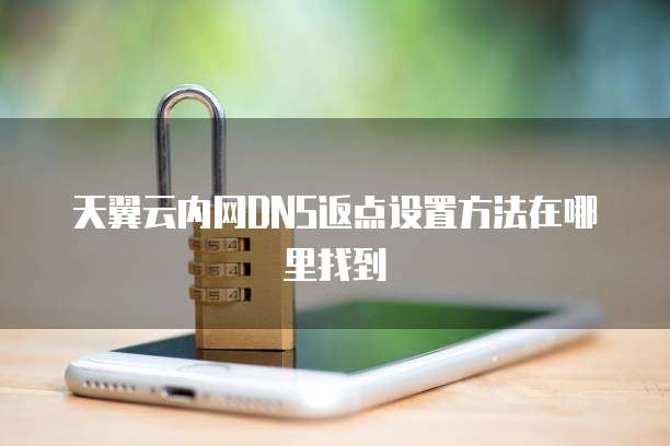 天翼云内网DNS返点设置方法在哪里找到