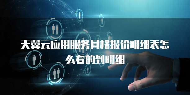 天翼云应用服务网格报价明细表怎么看的到明细