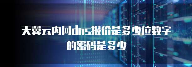 天翼云内网dns报价是多少位数字的密码是多少