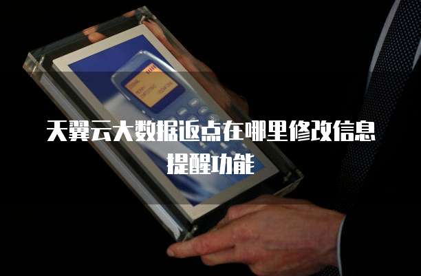 天翼云大数据返点在哪里修改信息提醒功能