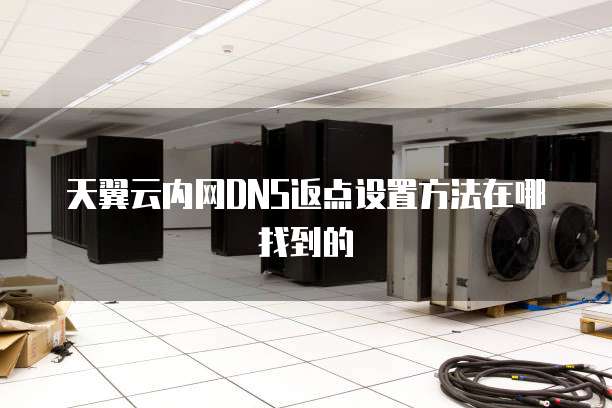 天翼云内网DNS返点设置方法在哪找到的
