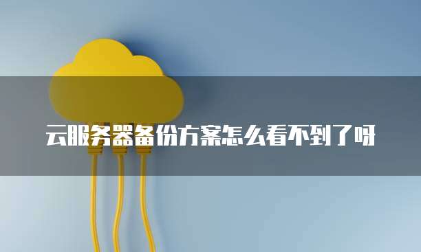 天翼云主机市场空间洞察怎么设置的呢