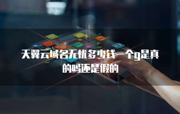 天翼云域名无忧多少钱一个g是真的吗还是假的