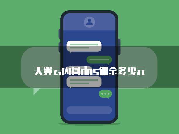 天翼云内网dns佣金多少元