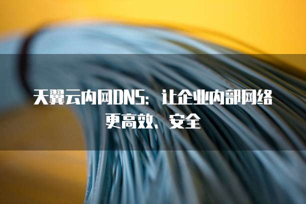 天翼云内网DNS:让企业内部网络更高效、安全