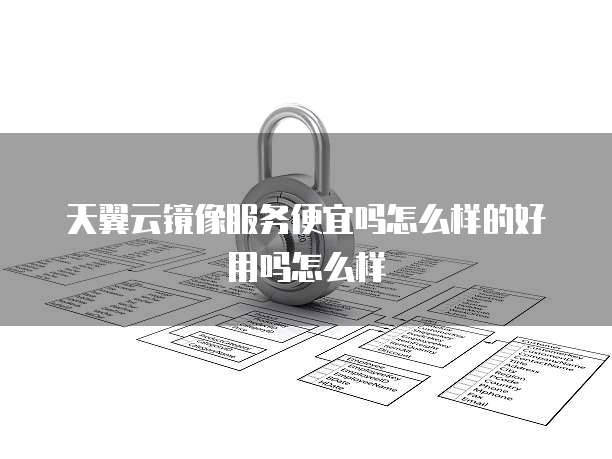 天翼云镜像服务便宜吗怎么样的好用吗怎么样
