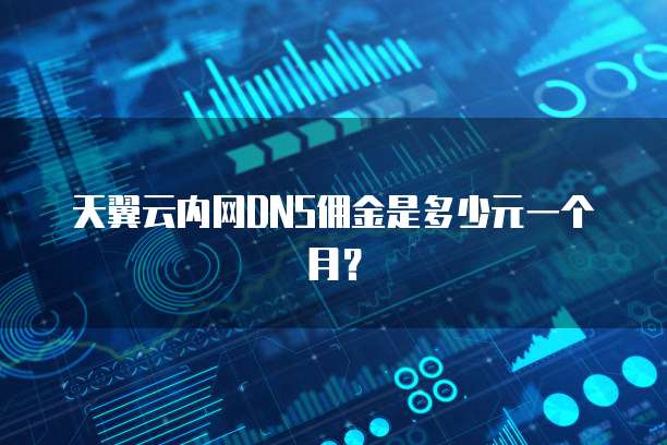 天翼云内网DNS佣金是多少元一个月?