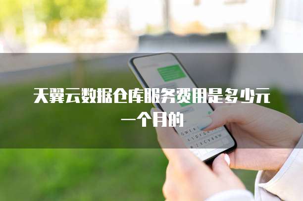 天翼云数据仓库服务费用是多少元一个月的