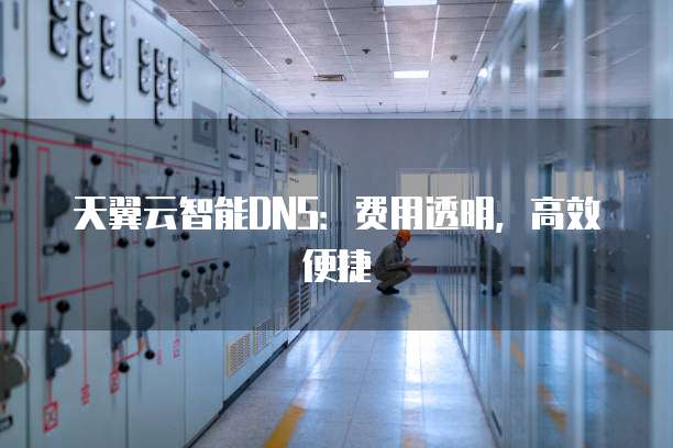 天翼云智能DNS：费用透明，高效便捷