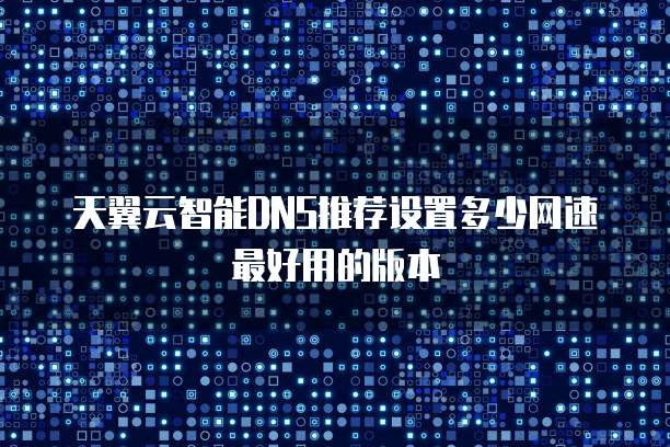 天翼云智能DNS推荐设置多少网速最好用的版本