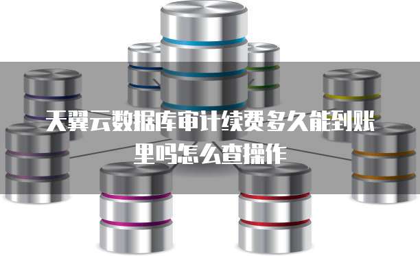 天翼云数据库审计续费多久能到账里吗怎么查操作