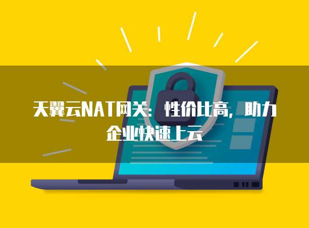 天翼云NAT网关:性价比高,助力企业快速上云