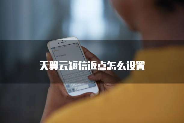 天翼云短信返点怎么设置