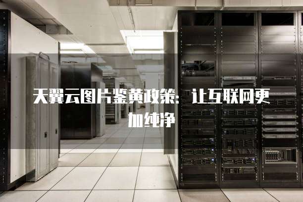 天翼云图片鉴黄政策:让互联网更加纯净