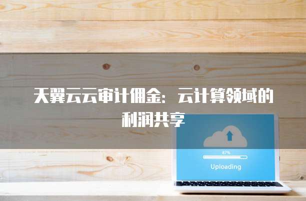天翼云云审计佣金:云计算领域的利润共享