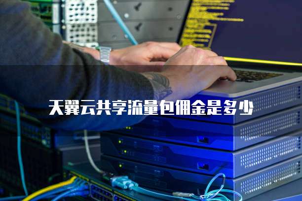 天翼云共享流量包佣金是多少